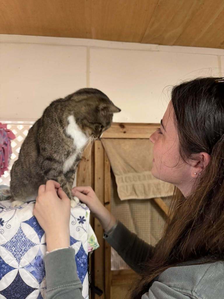 KAAAT & Leo Club at SDHS make cat shelters