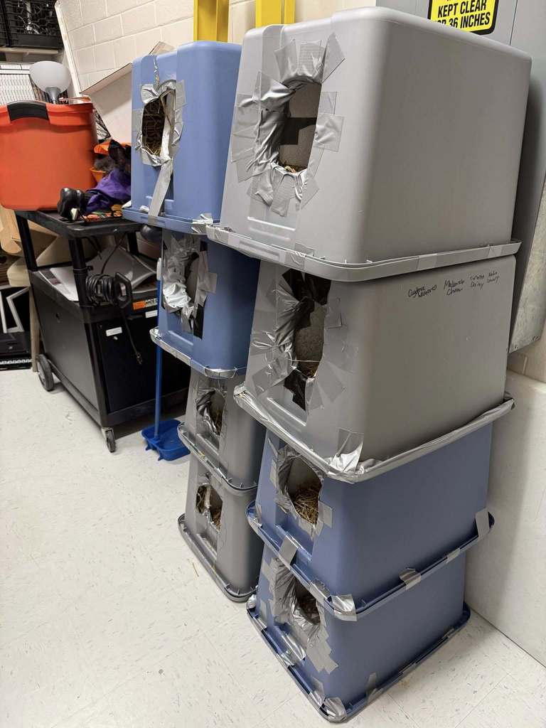 KAAAT & Leo Club at SDHS make cat shelters