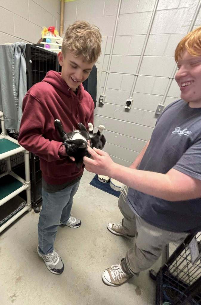 KAAAT & Leo Club at SDHS make cat shelters