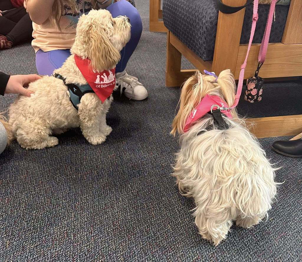 Pets on Wheels visits SDHS 2026