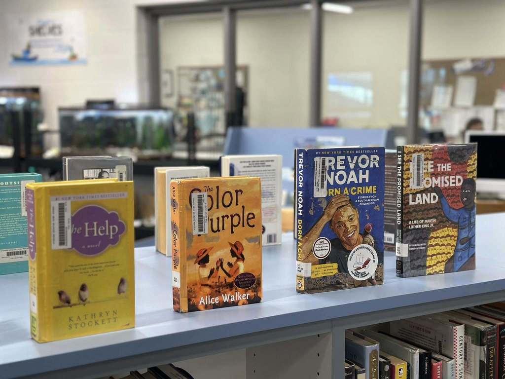 Black History Month in the SDHS Library