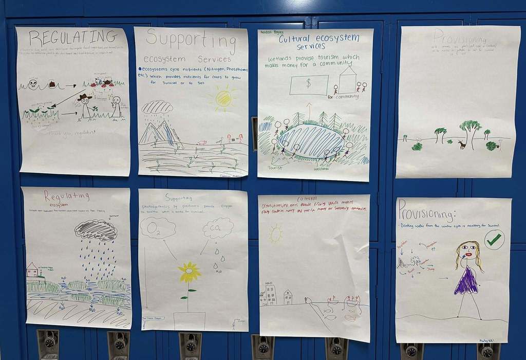 AP Environmental Earth Science assignment