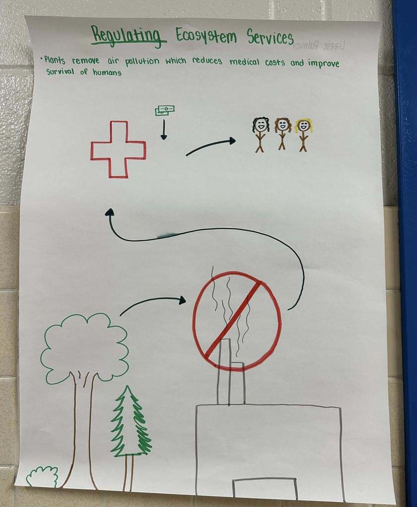 AP Environmental Earth Science assignment