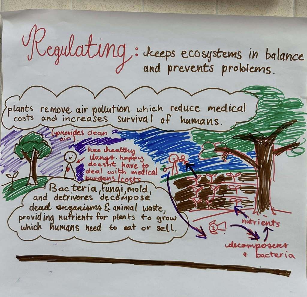 AP Environmental Earth Science assignment