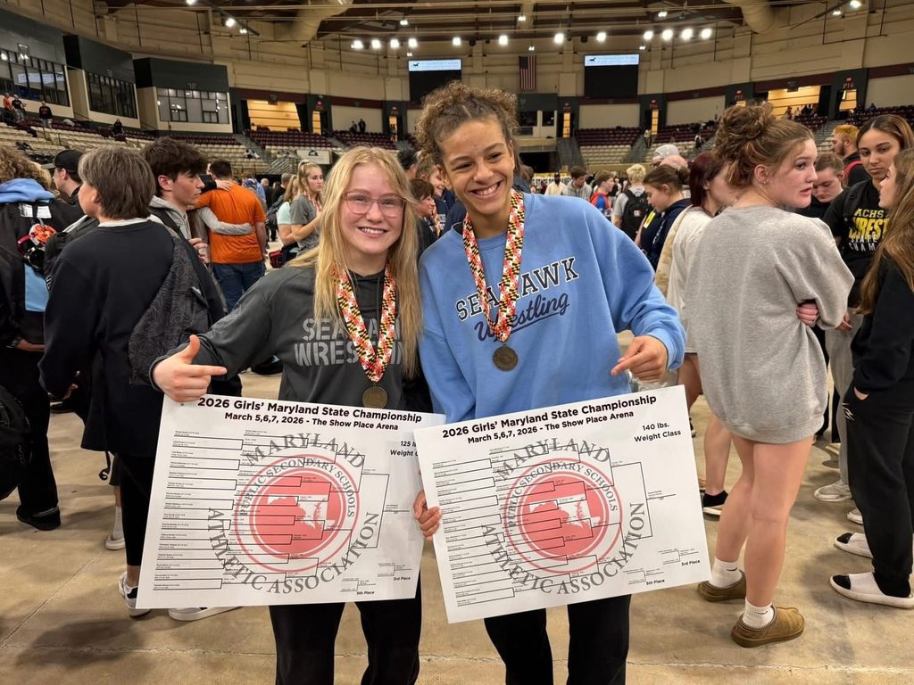 Wrestling State meet 2026