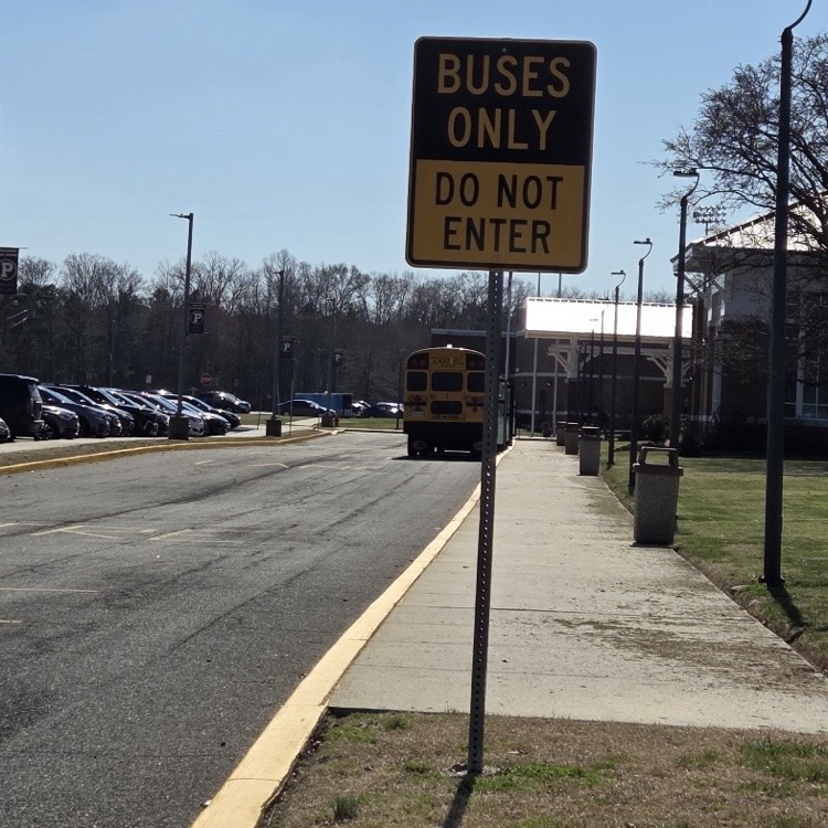 buses only