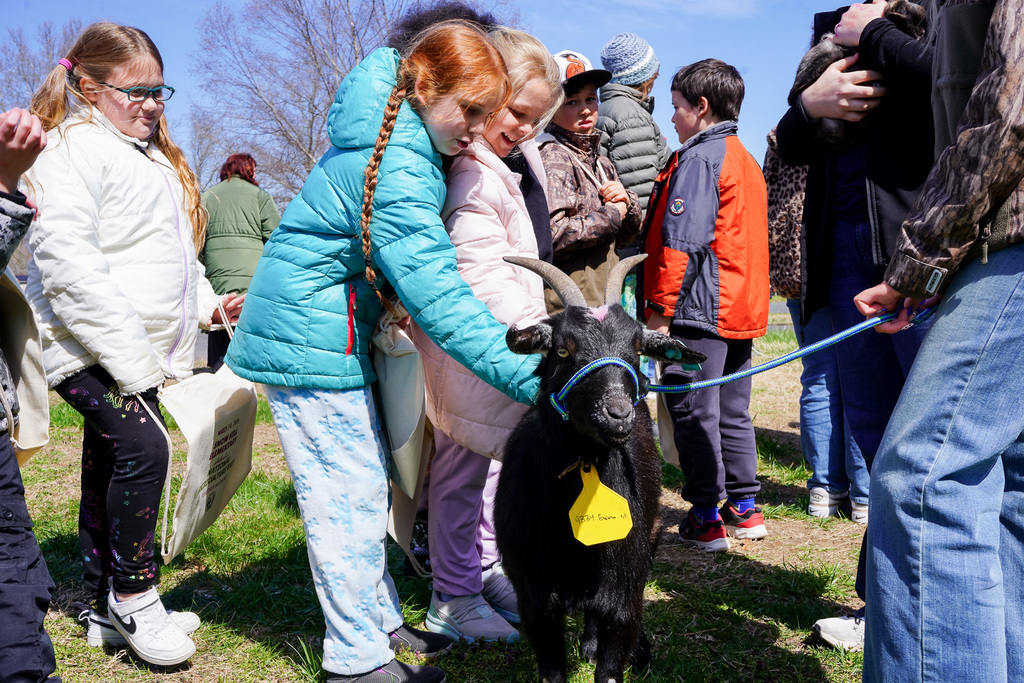 SHES Agriculture Day