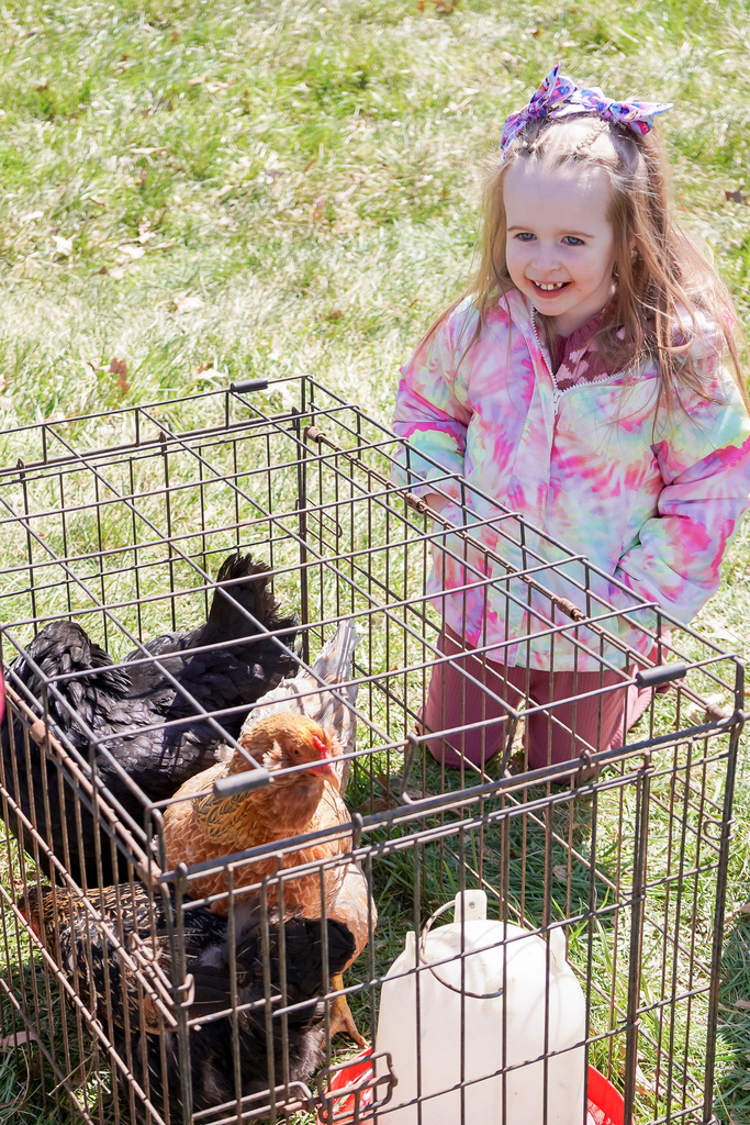 SHES Agriculture Day