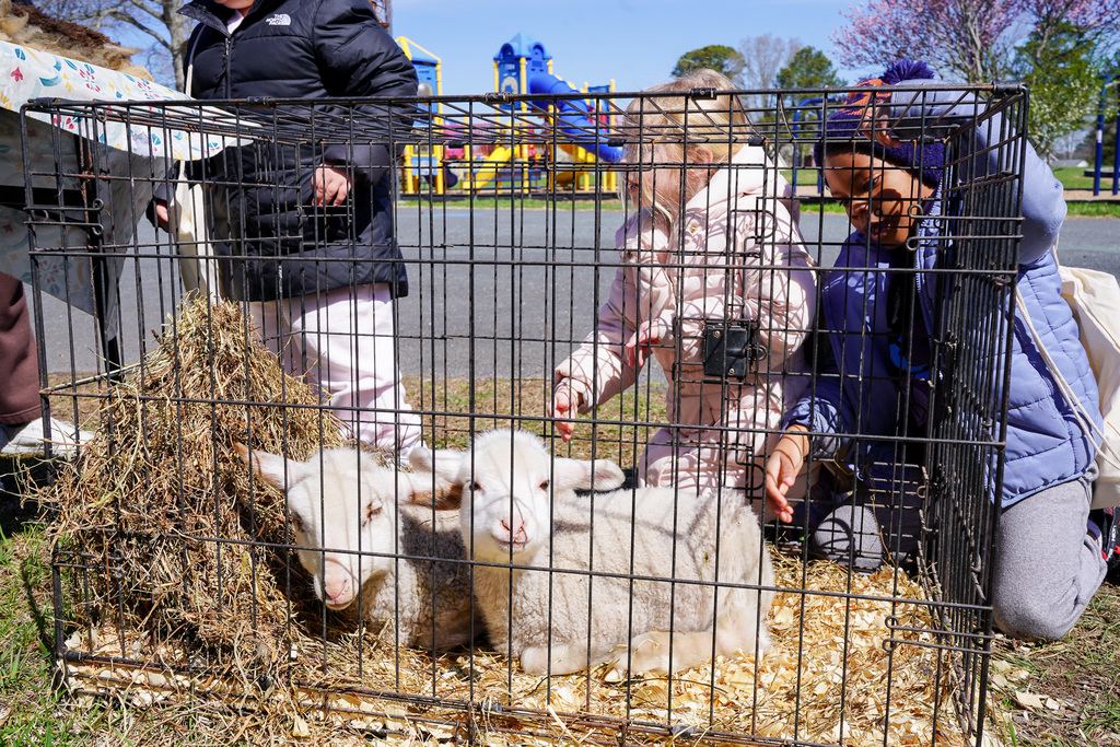 SHES Agriculture Day