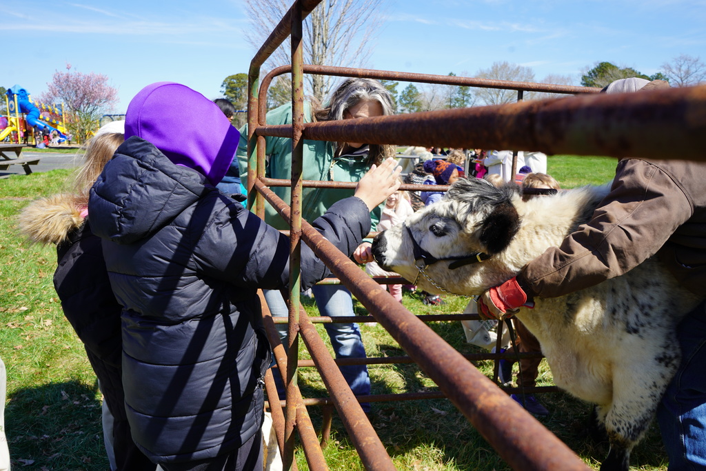 SHES Agriculture Day