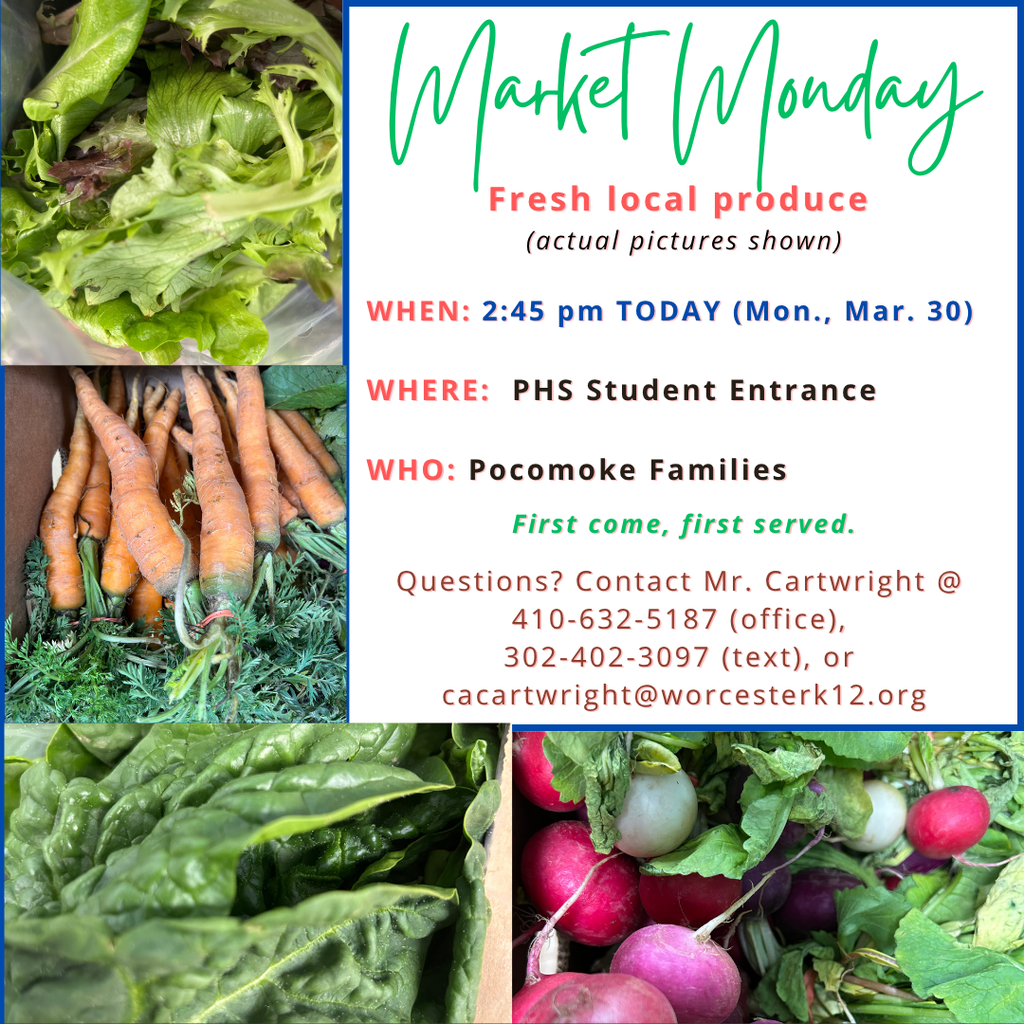 Market Monday produce pictures (salad mix, carrots, spinach, radishes)