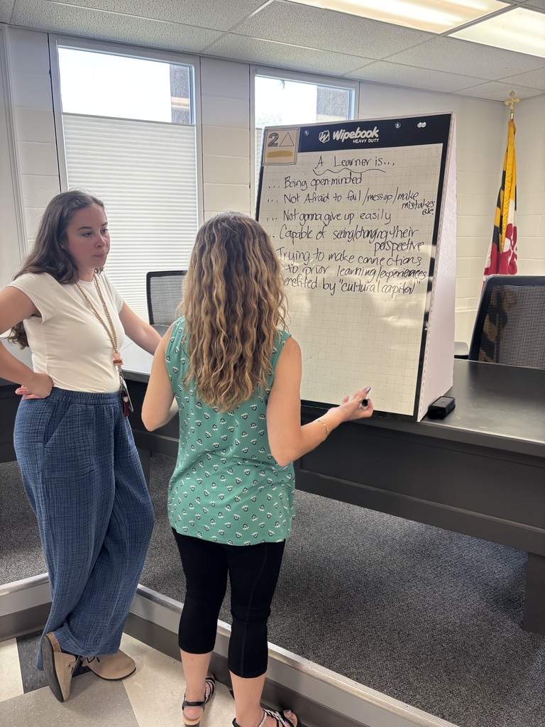 Teachers discussing at whiteboards
