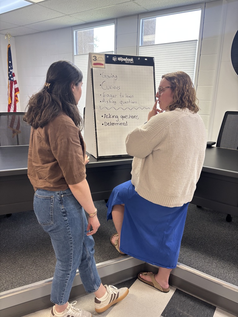 Teachers discussing at whiteboards