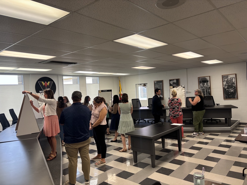 Teachers working at whiteboards.