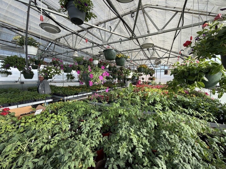 WTHS Greenhouse Sale