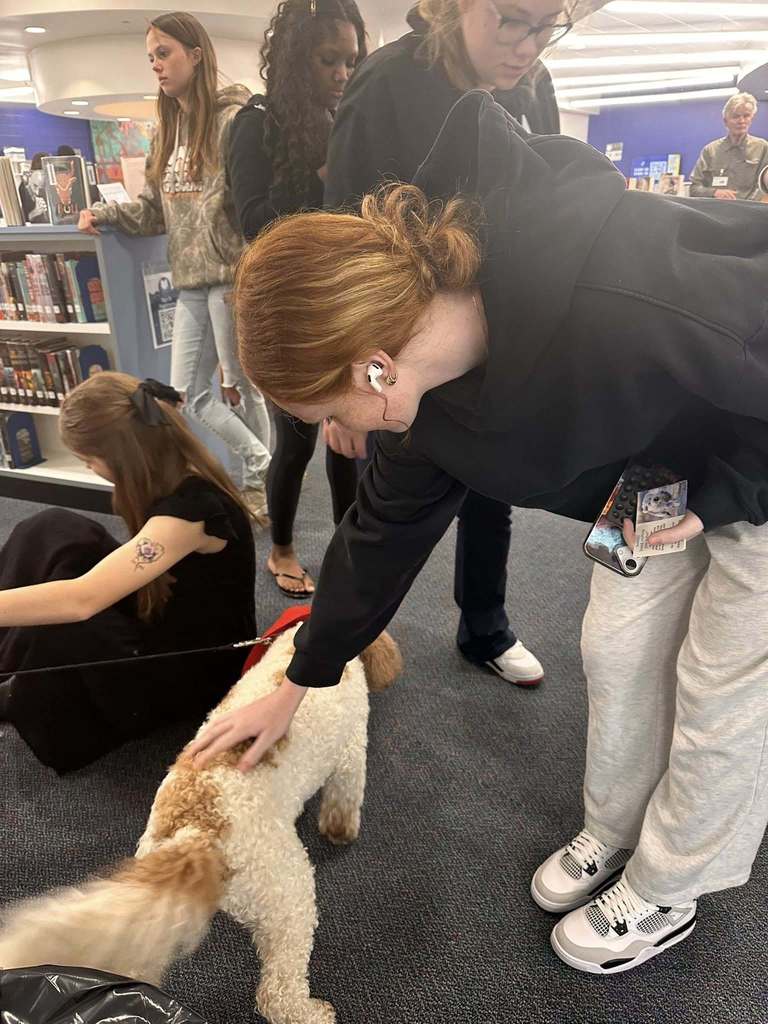 Dog Therapy day at SDHS