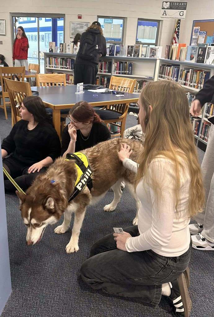 Dog Therapy day at SDHS