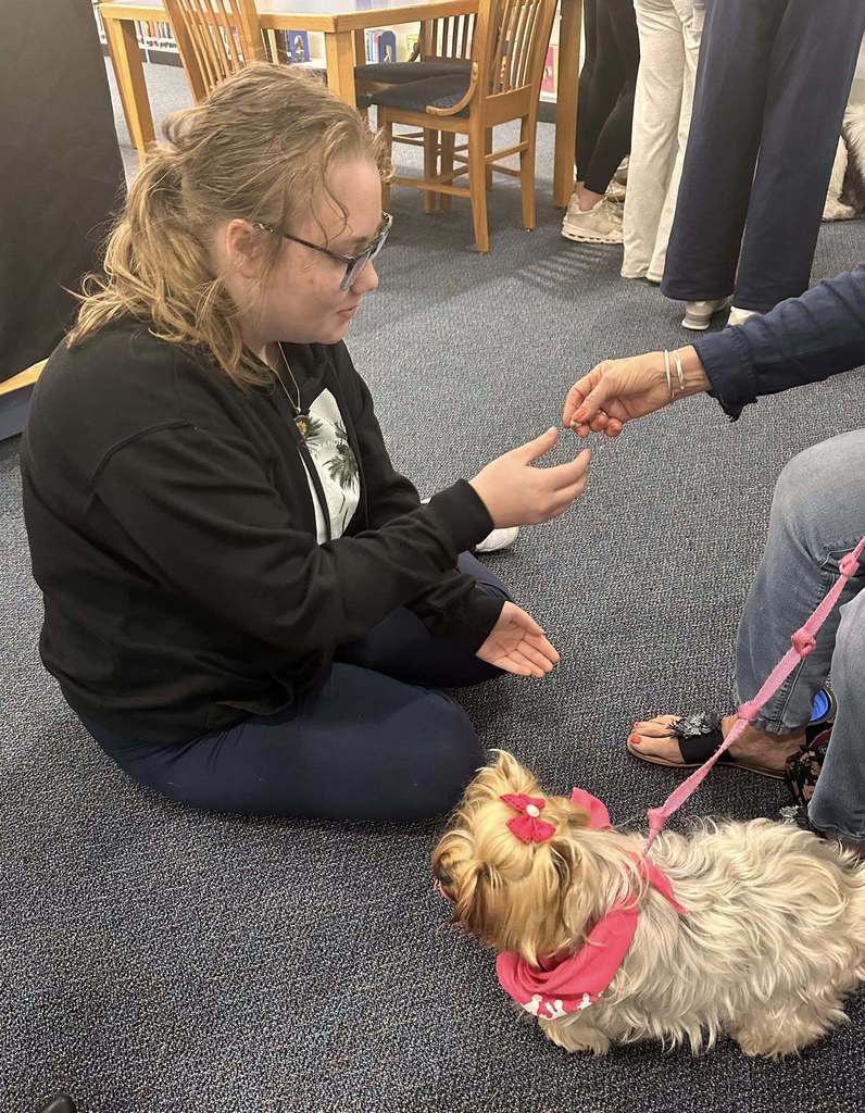 Dog Therapy day at SDHS