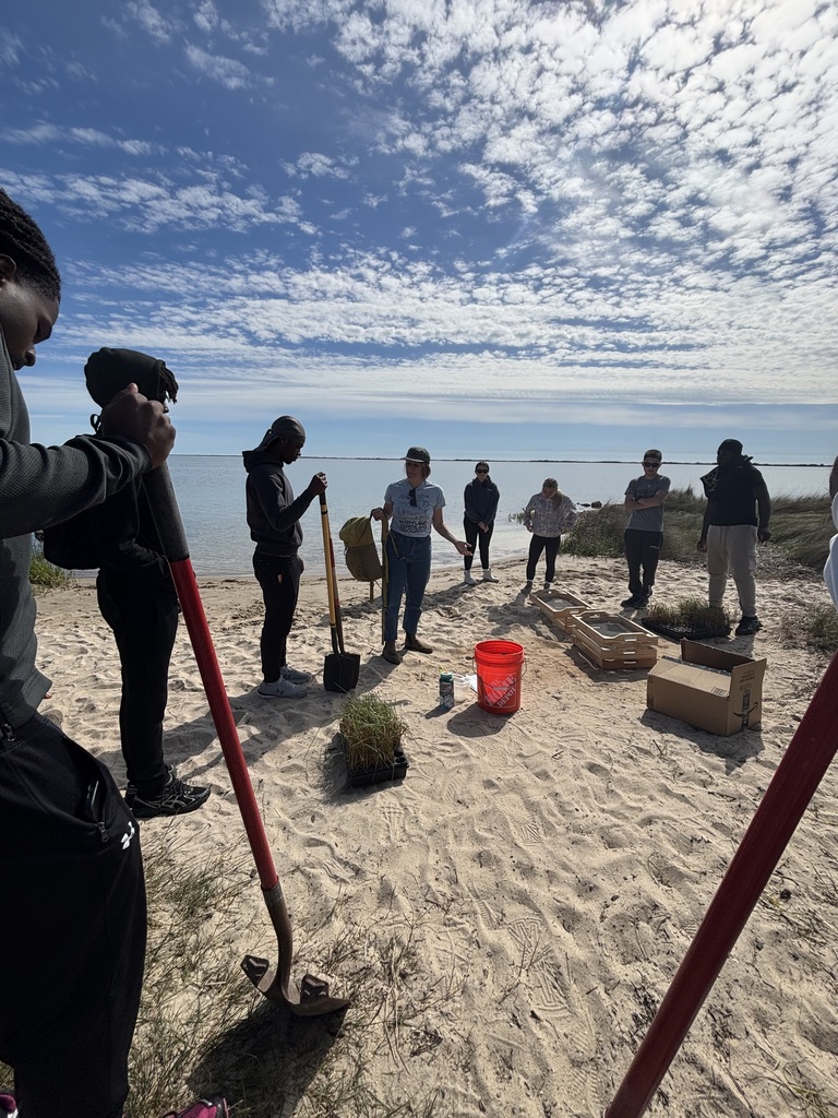 Coastal Bay Program and Students planting grass