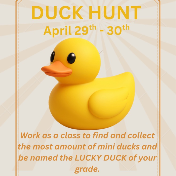 duck