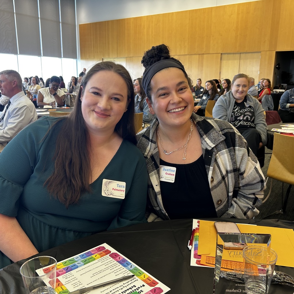 mentor intern pair