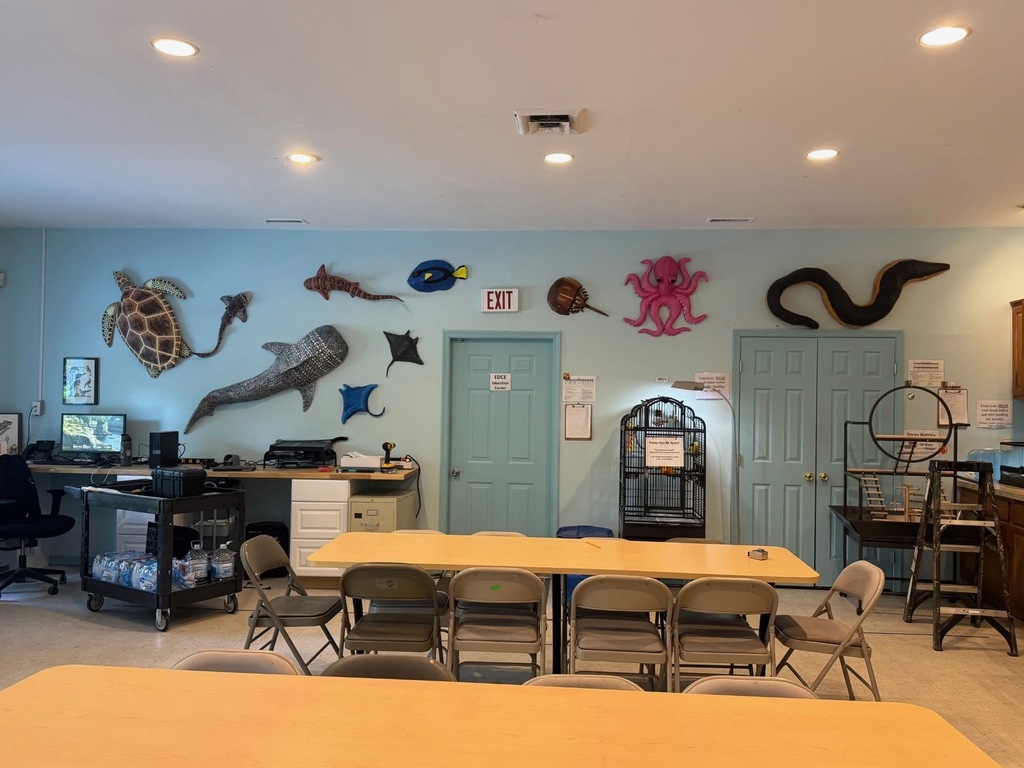 Worcester Education Center dislays SDHS art