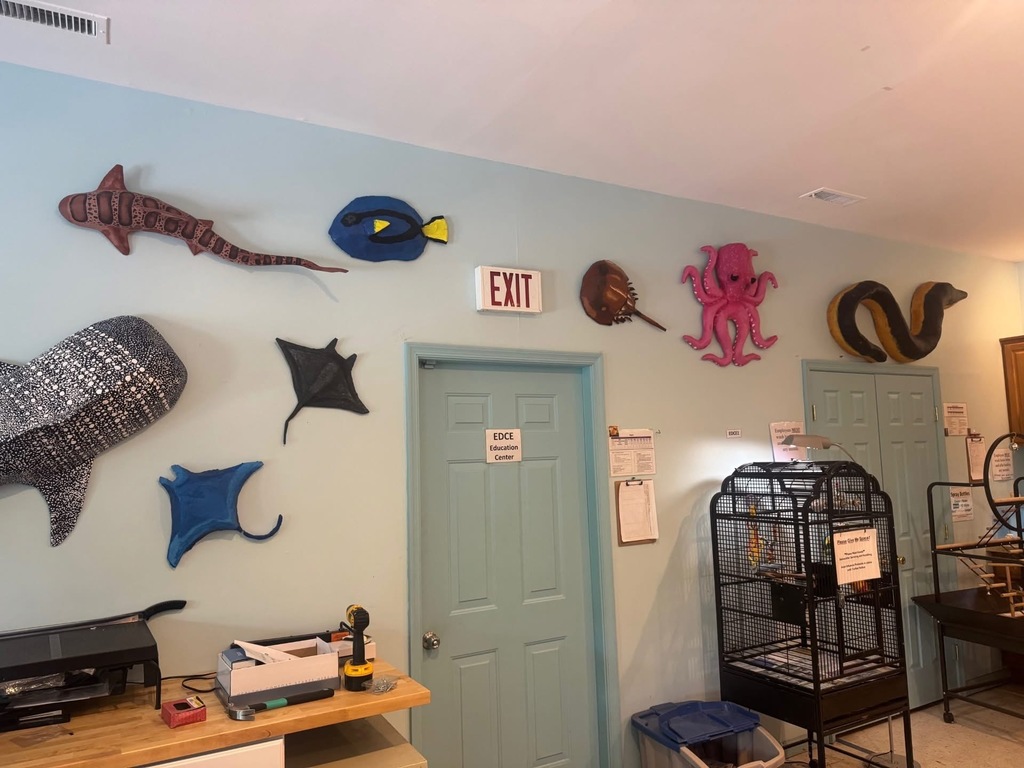 Worcester Education Center dislays SDHS art