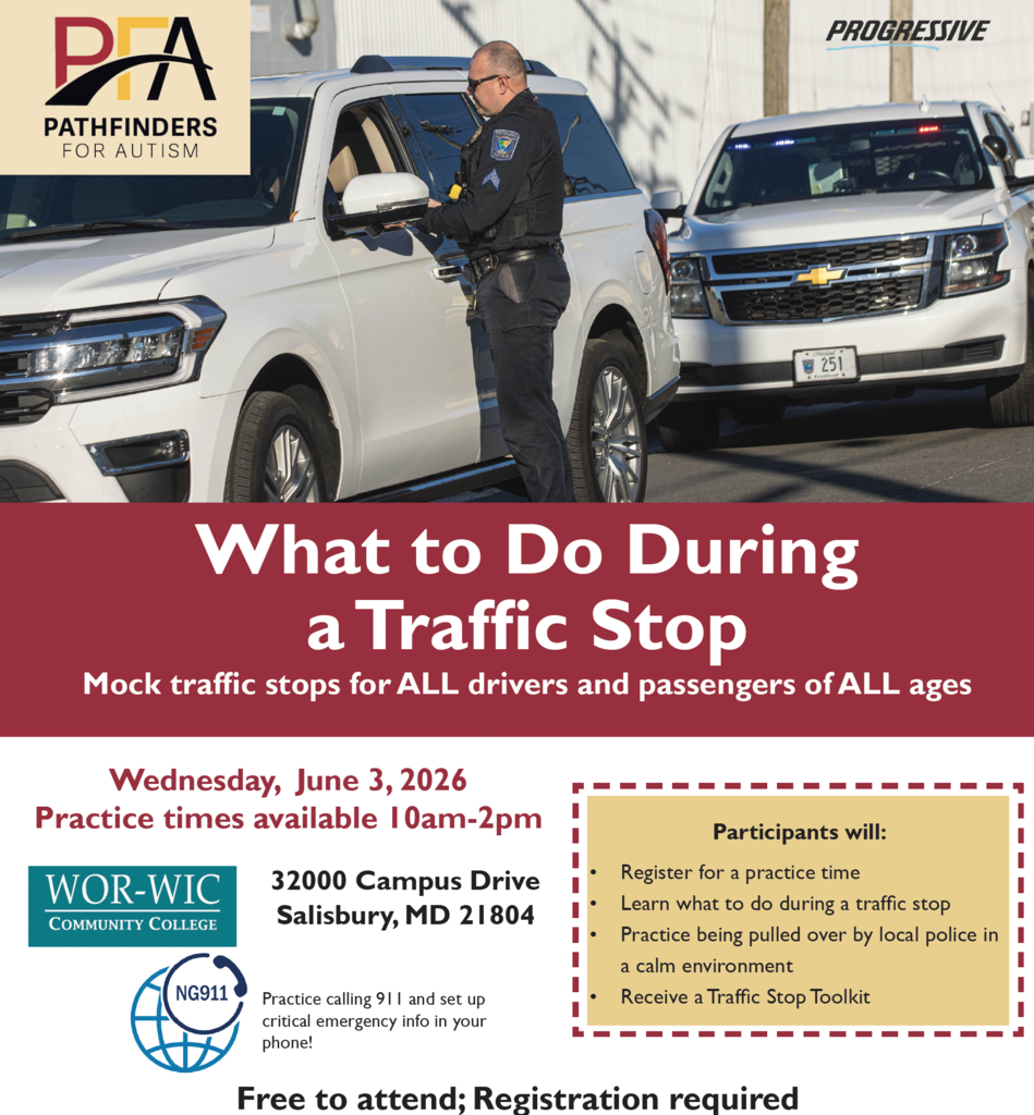 Traffic Stop