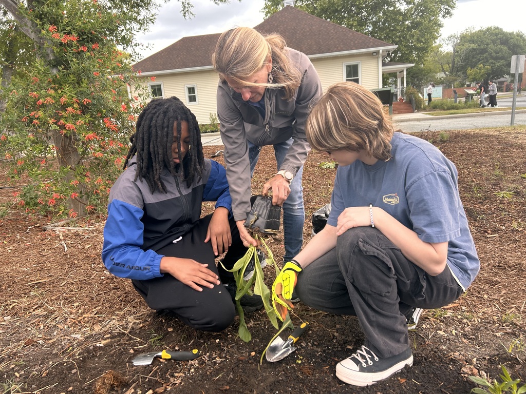 Planting New Plants
