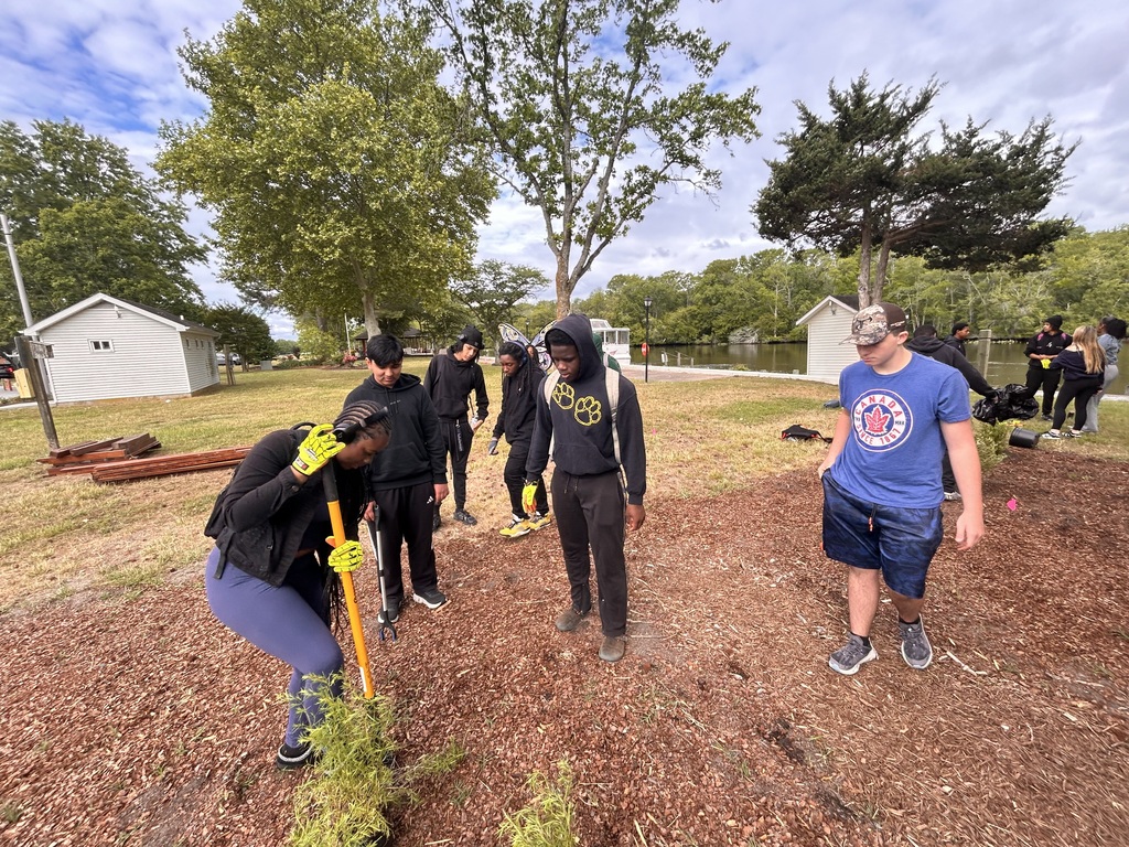Planting New Pollinators