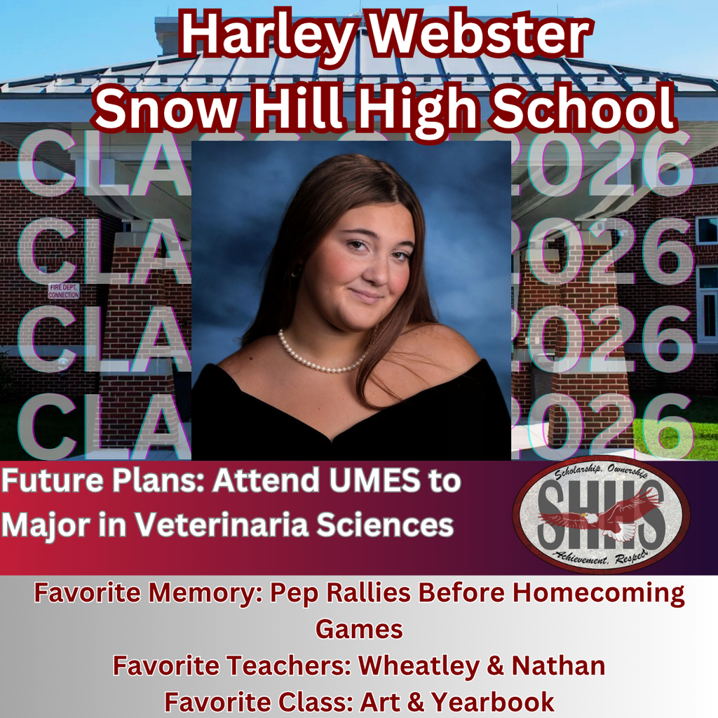 Harley Webster Senior Post