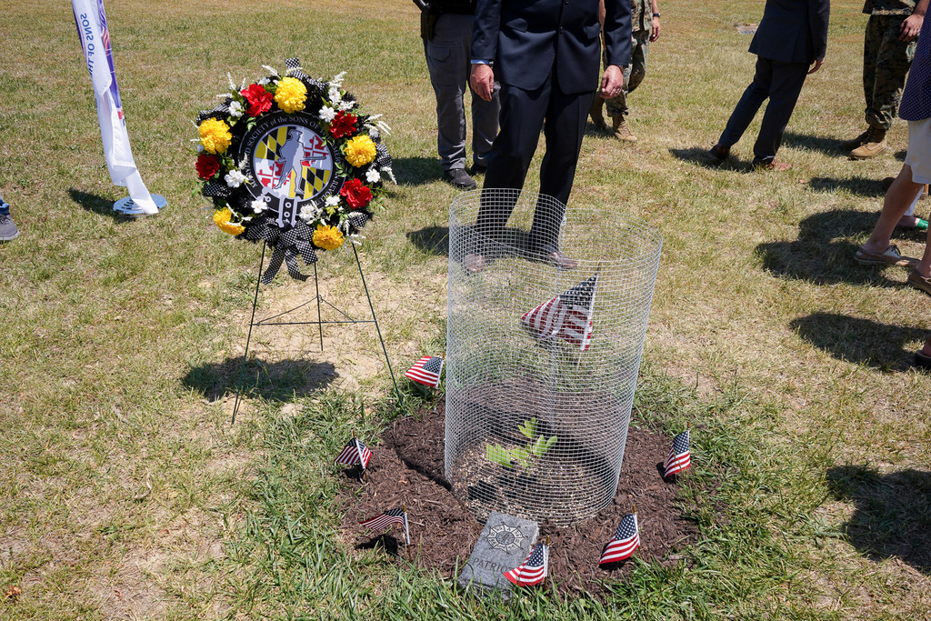 Liberty Tree Dedication