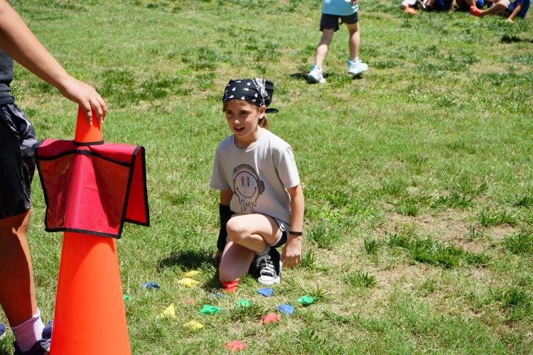 SES Field day