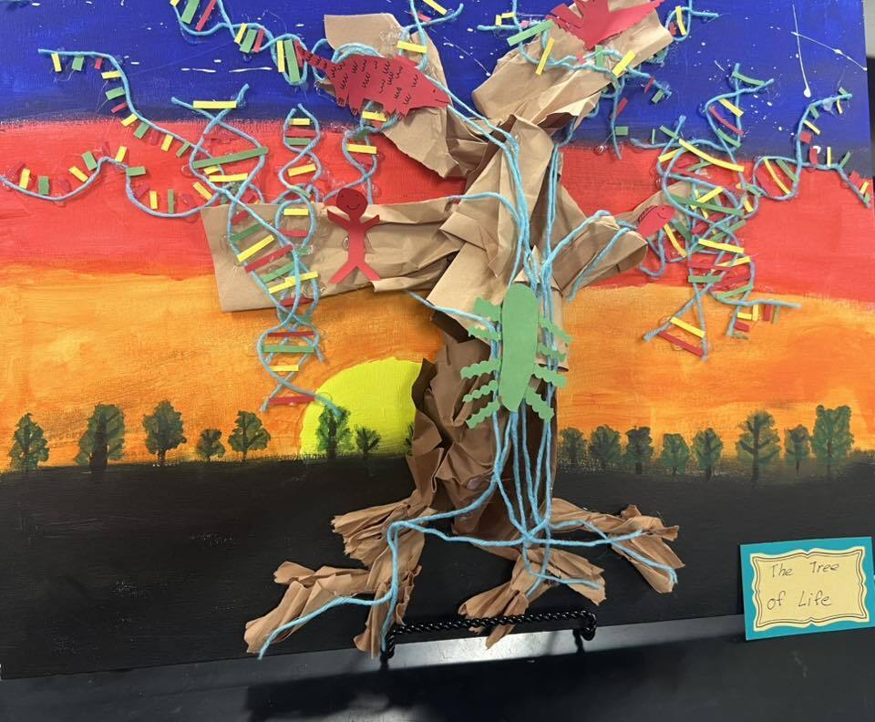 AP Chemistry art exhibit
