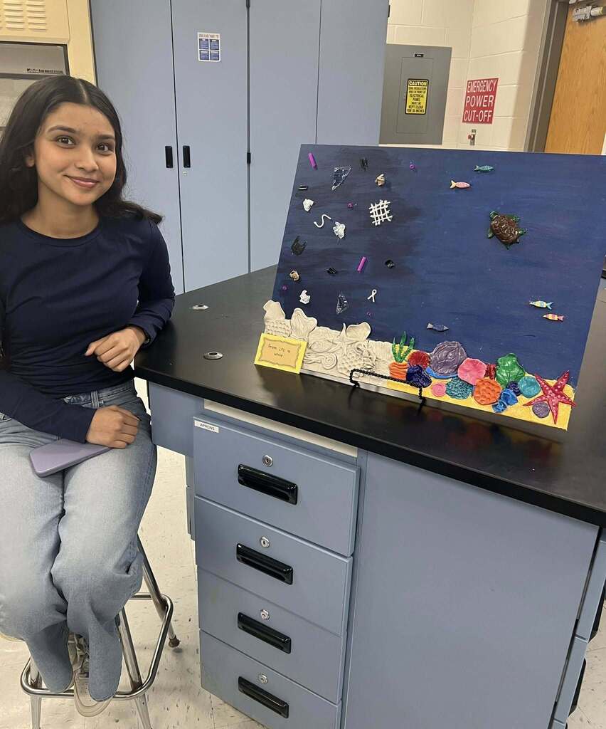 AP Chemistry art exhibit