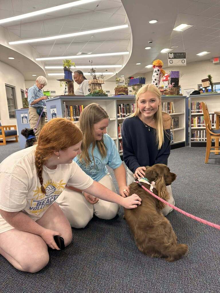 Dog Therapy  day at SDHS