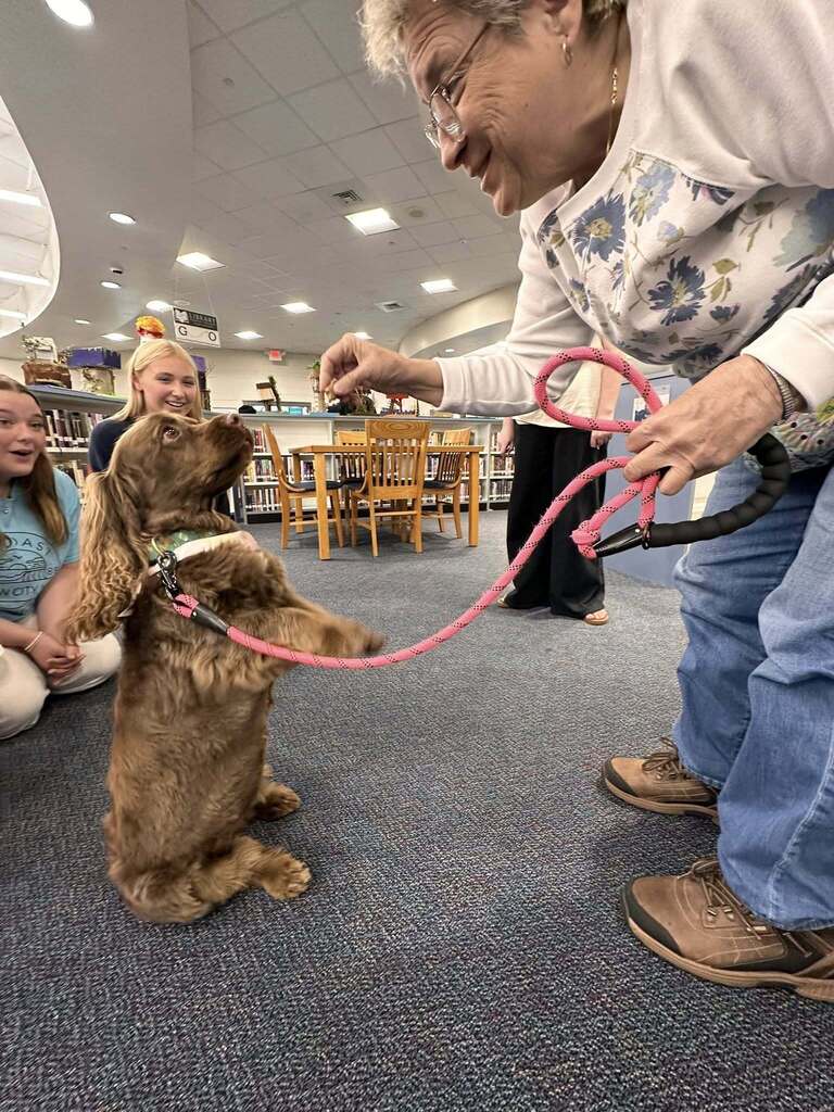 Dog Therapy  day at SDHS