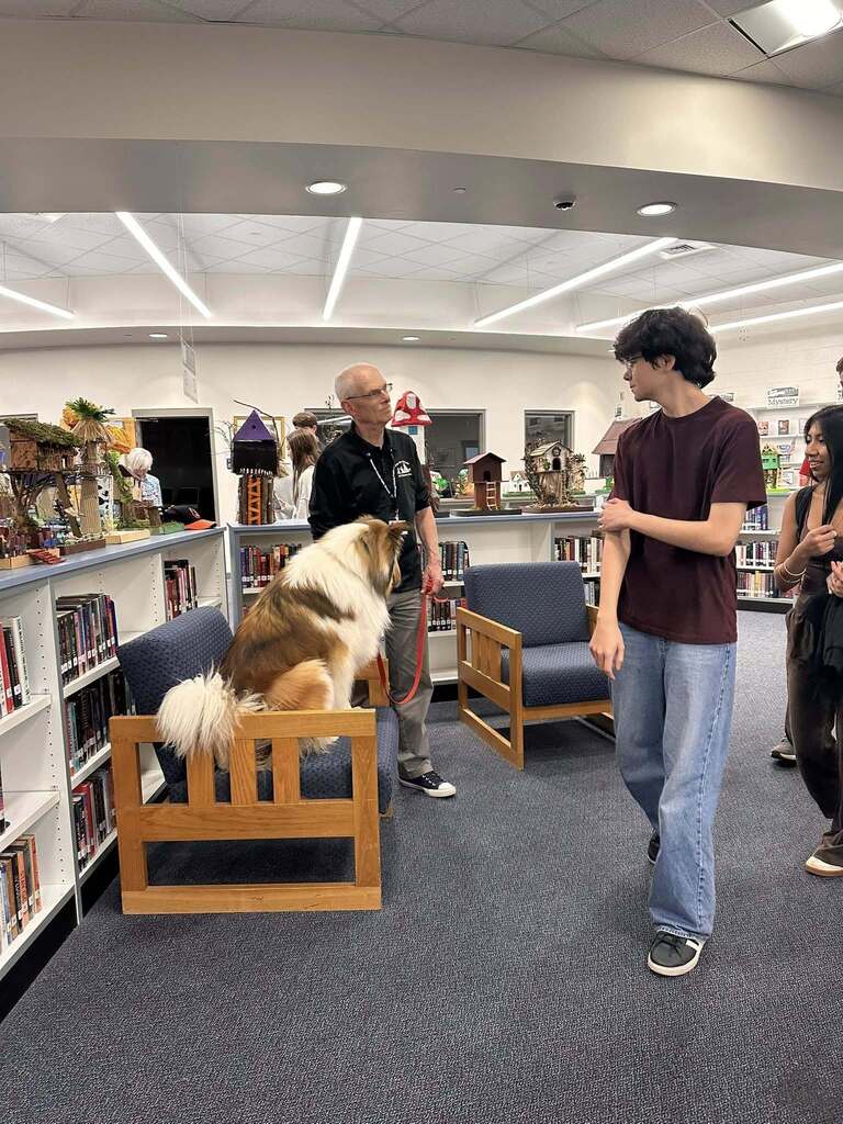 Dog Therapy  day at SDHS