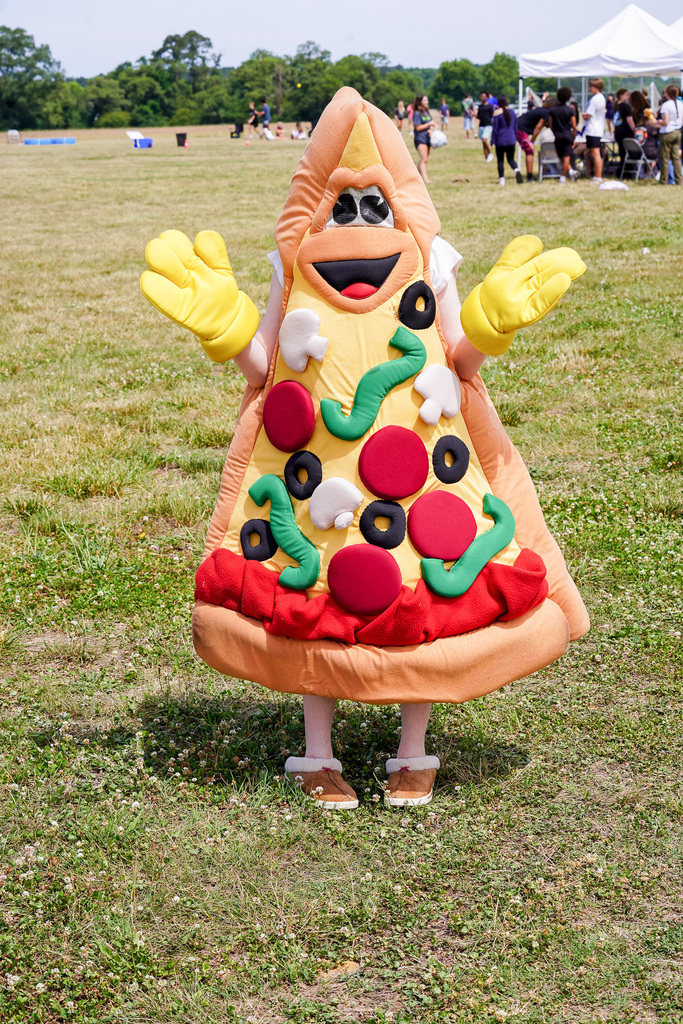 SDMS Carnival