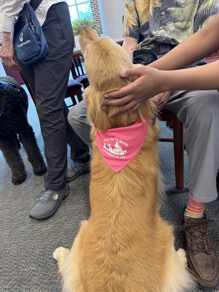 Pearl Delmarva Pets on Wheels