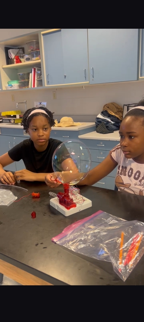 Summer Academy science