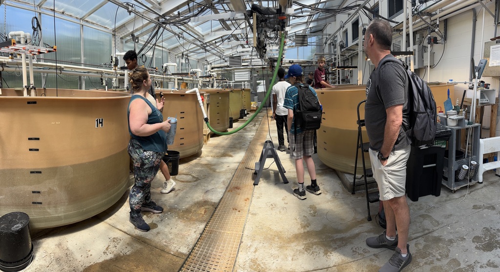 oyster farm