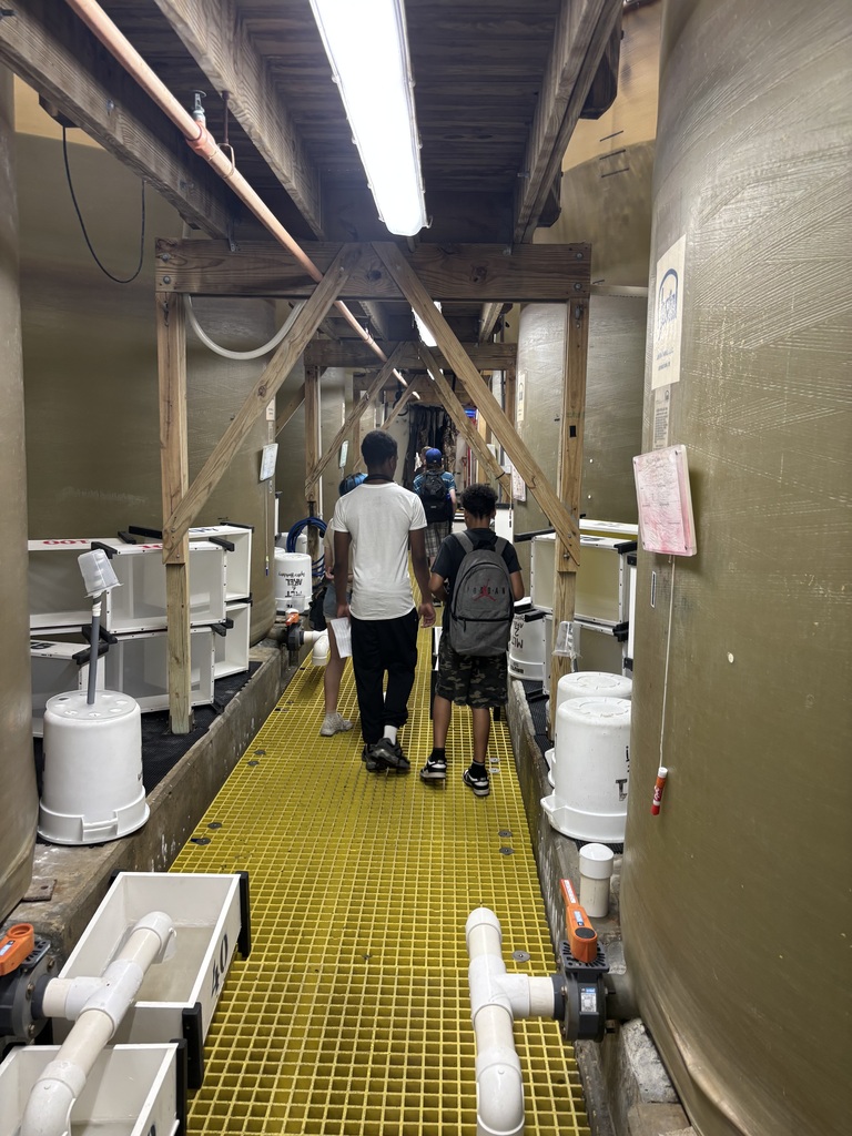 On site exploration