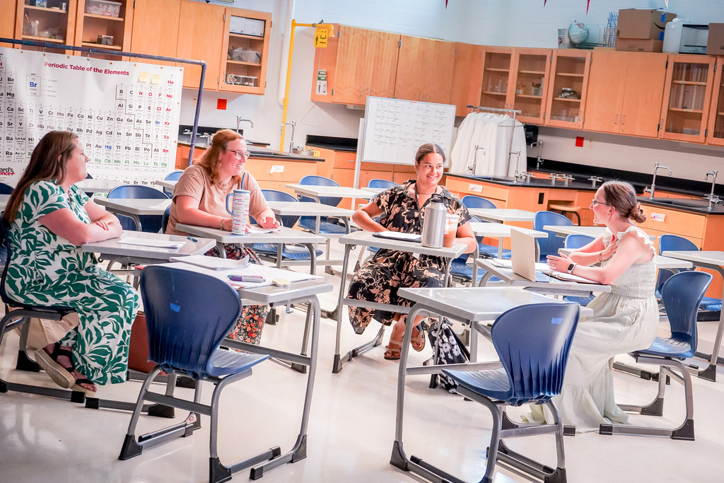 PHS summer academy - staff professional learning