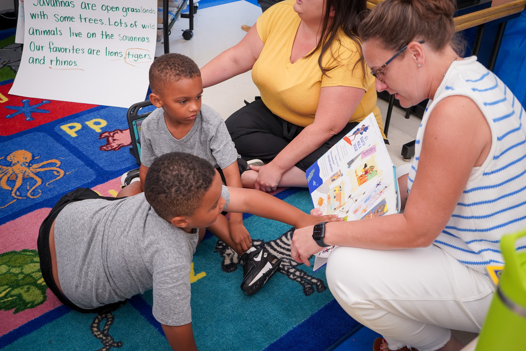 PES Summer Academy - Books from the Backseat