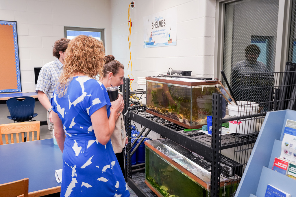 SDHS Summer Academy