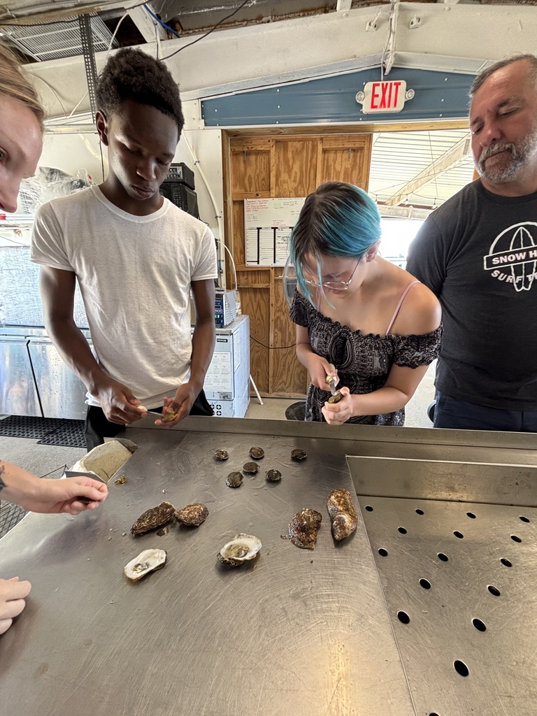 Learning How to open an Oyster