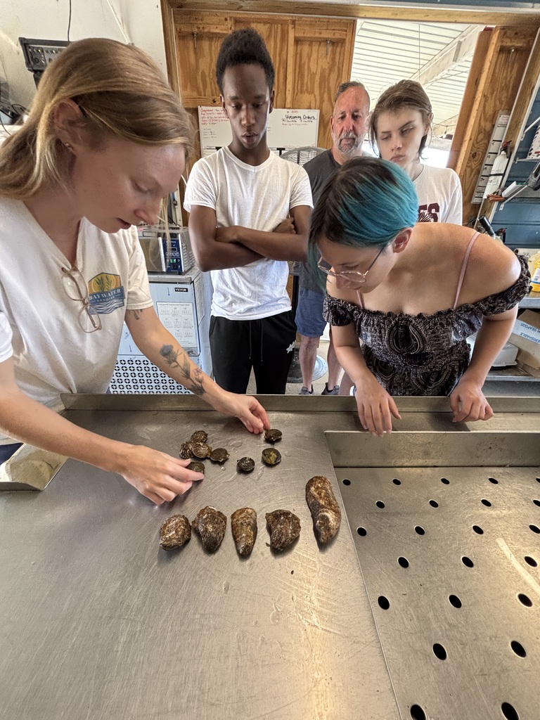 Oyster Farming