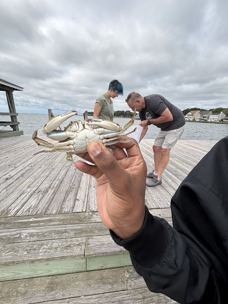 Crabbing Public Landing