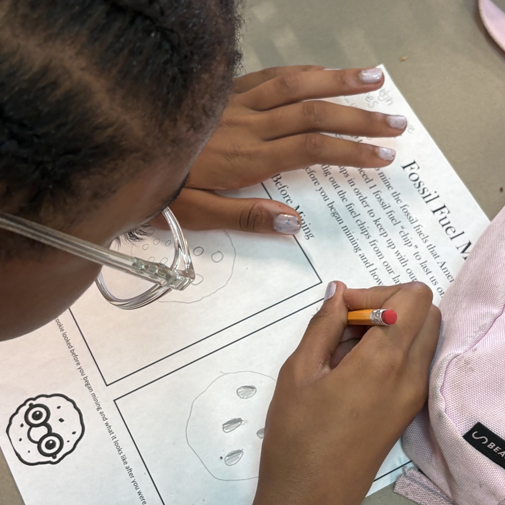 documenting observations